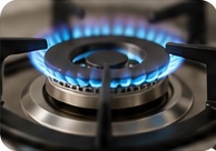 Indian Gas Stove Repair